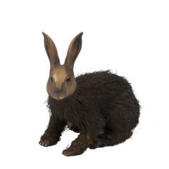 Pirinç Kürklü Tavşan Heykeli